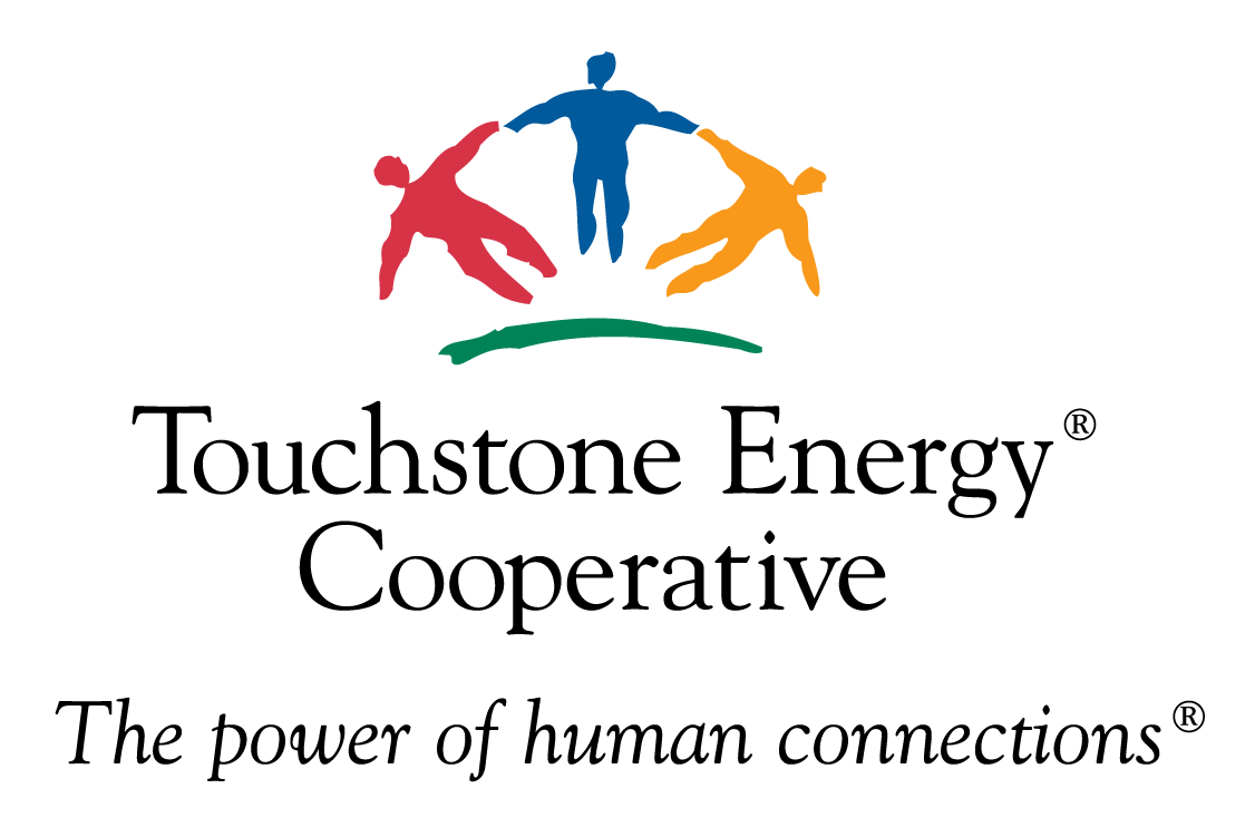 TSE logo